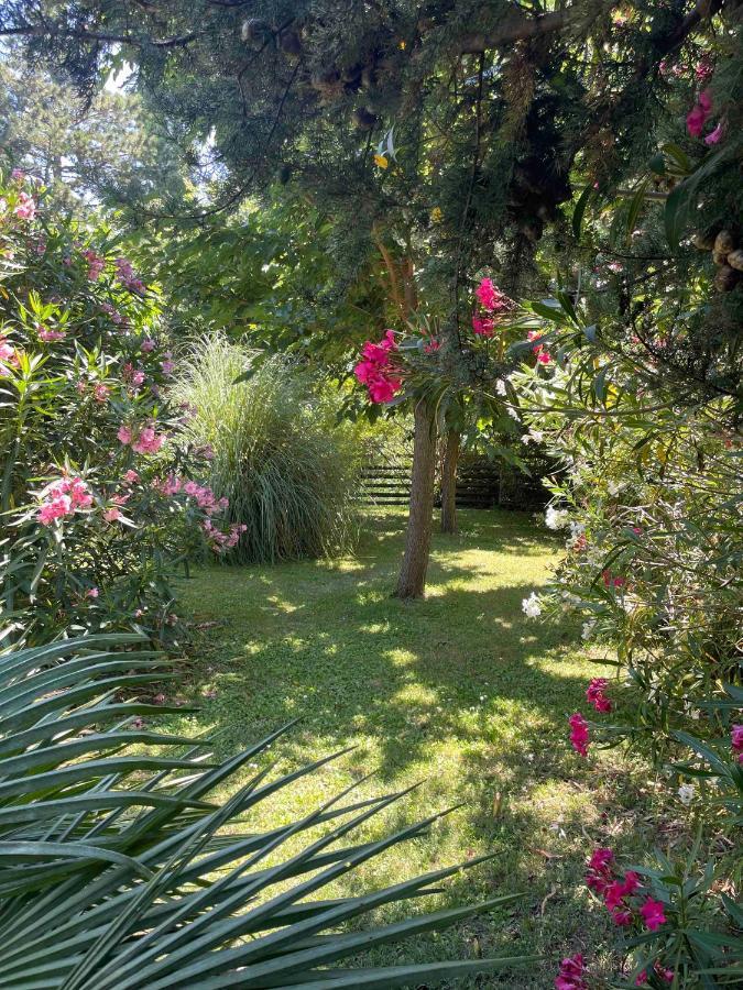 Gites Au Chateau Des Estubiers Les Granges-Gontardes 外观 照片