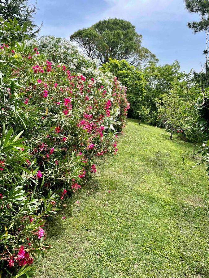 Gites Au Chateau Des Estubiers Les Granges-Gontardes 外观 照片